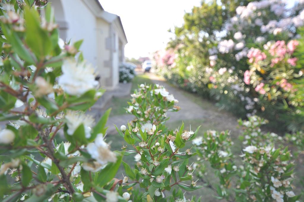 Villette Via Carbonia Budoni Εξωτερικό φωτογραφία